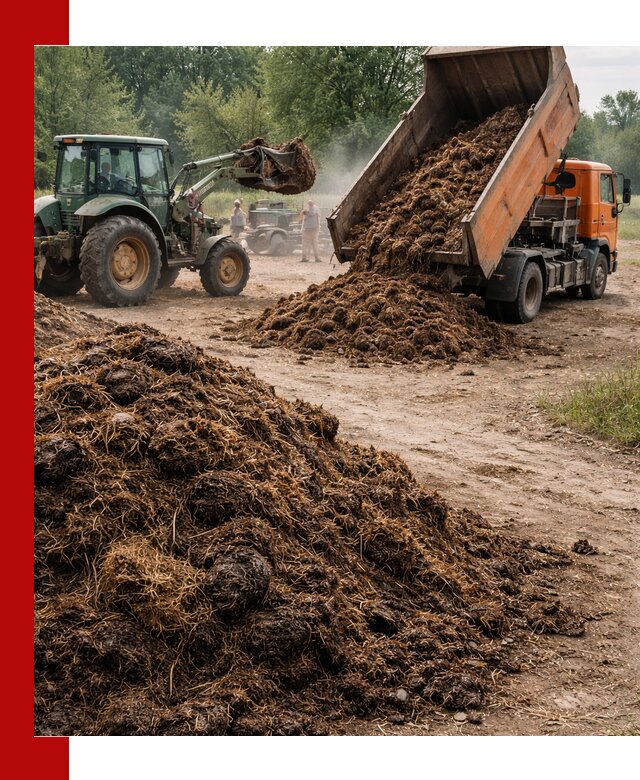 Доставка навоза самосвалами в Норильске для сельхозпотребностей