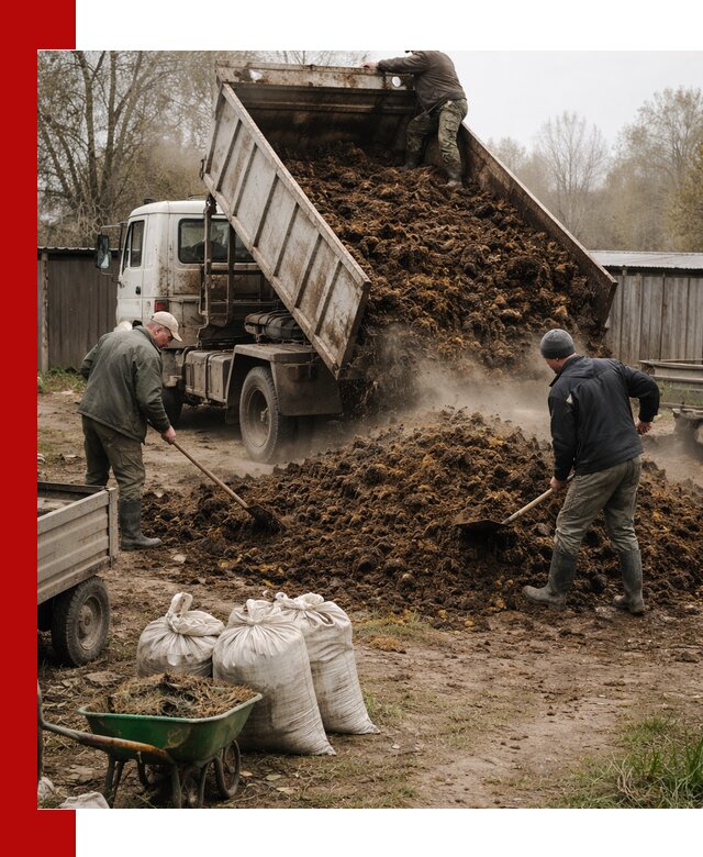 Доставка коровьего навоза самосвалом в Норильске